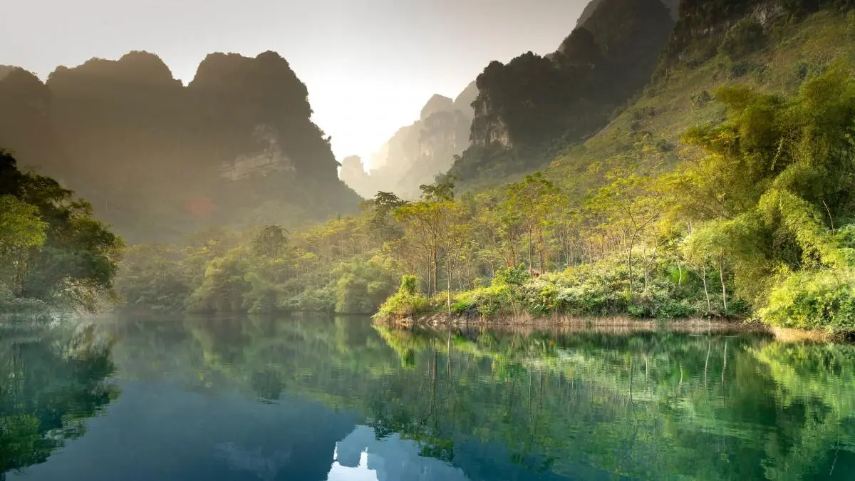 高精度独特